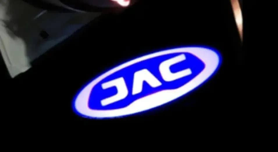 Driver Door With Emblem Projection